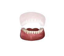 skullUp