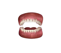 skullUp